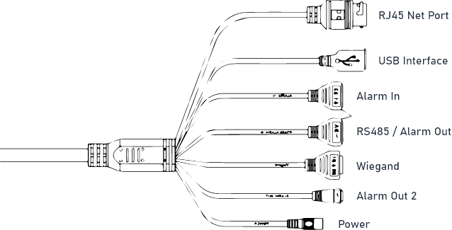 Rich External Ports